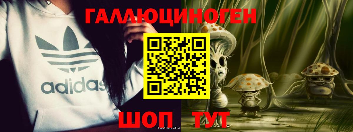 Моздок  Галлюциногенные грибы мицелий  купить закладку  Вход с VPN 